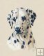 Dalmatian