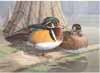 1985 Wood Ducks Medallion